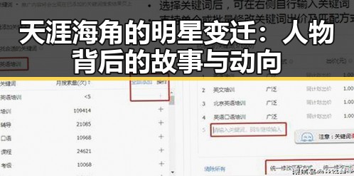 天涯海角的明星变迁：人物背后的故事与动向